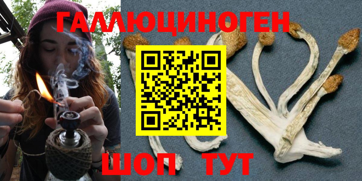Галлюциногенные грибы прущие грибы  Вход с VPN  Лосино-Петровский  Псилоцибиновые грибы Psilocybe 